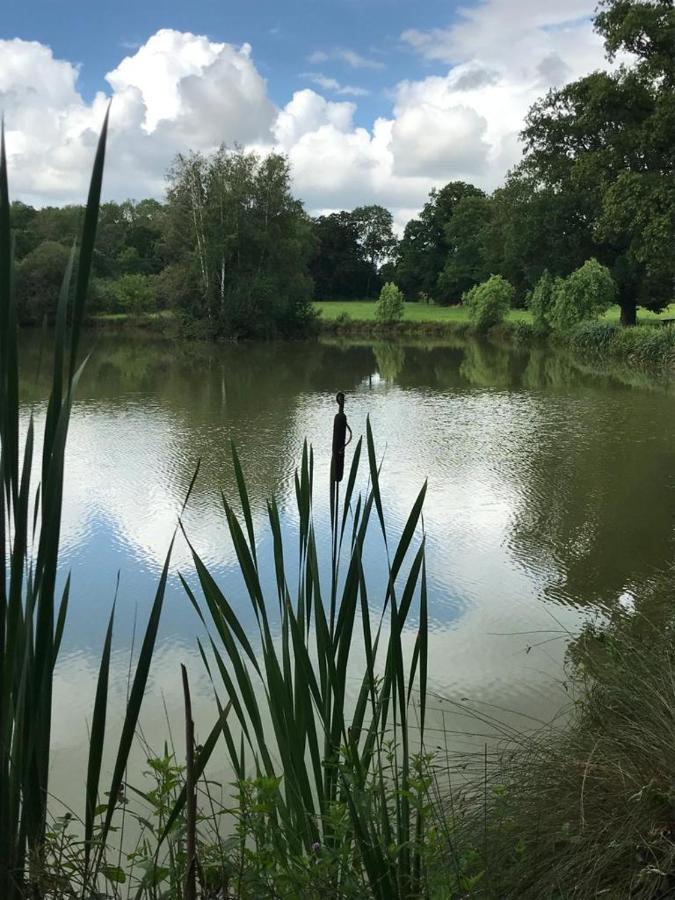 Domaine Du Clos Henri Essay Dış mekan fotoğraf