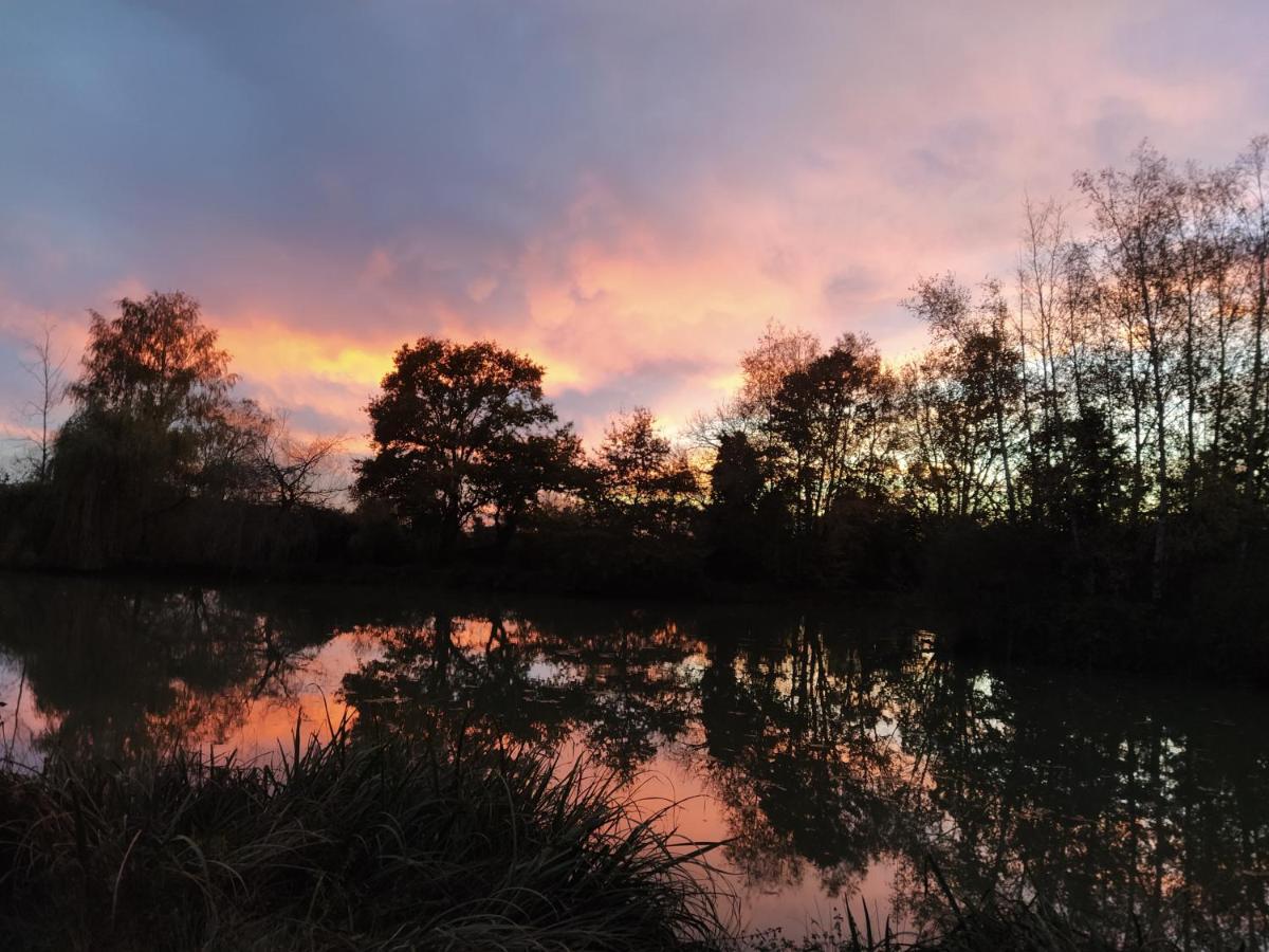 Domaine Du Clos Henri Essay Dış mekan fotoğraf